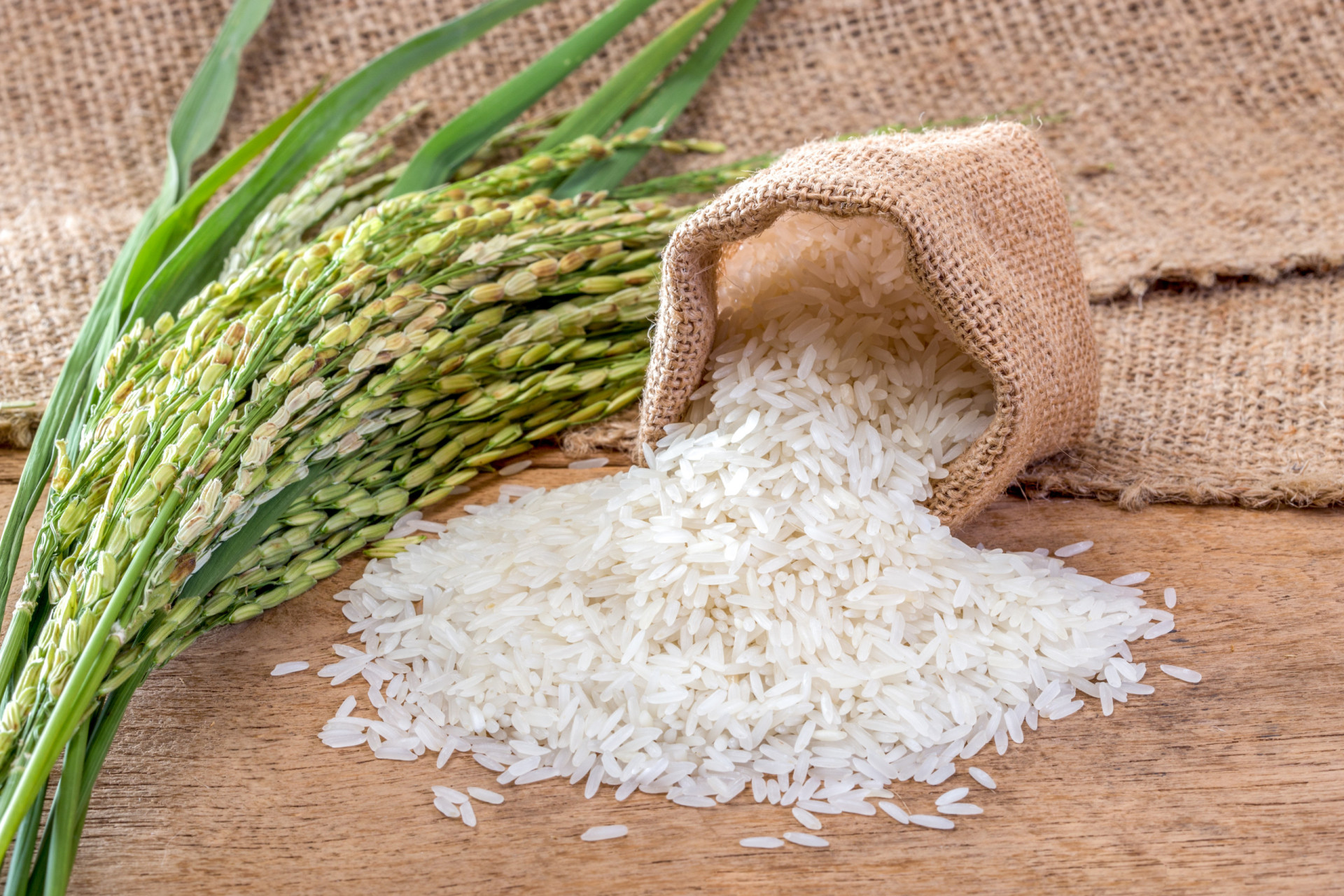 uncooked-rice-grain-stock-photo-ravi-sunlight-gmail-124722662