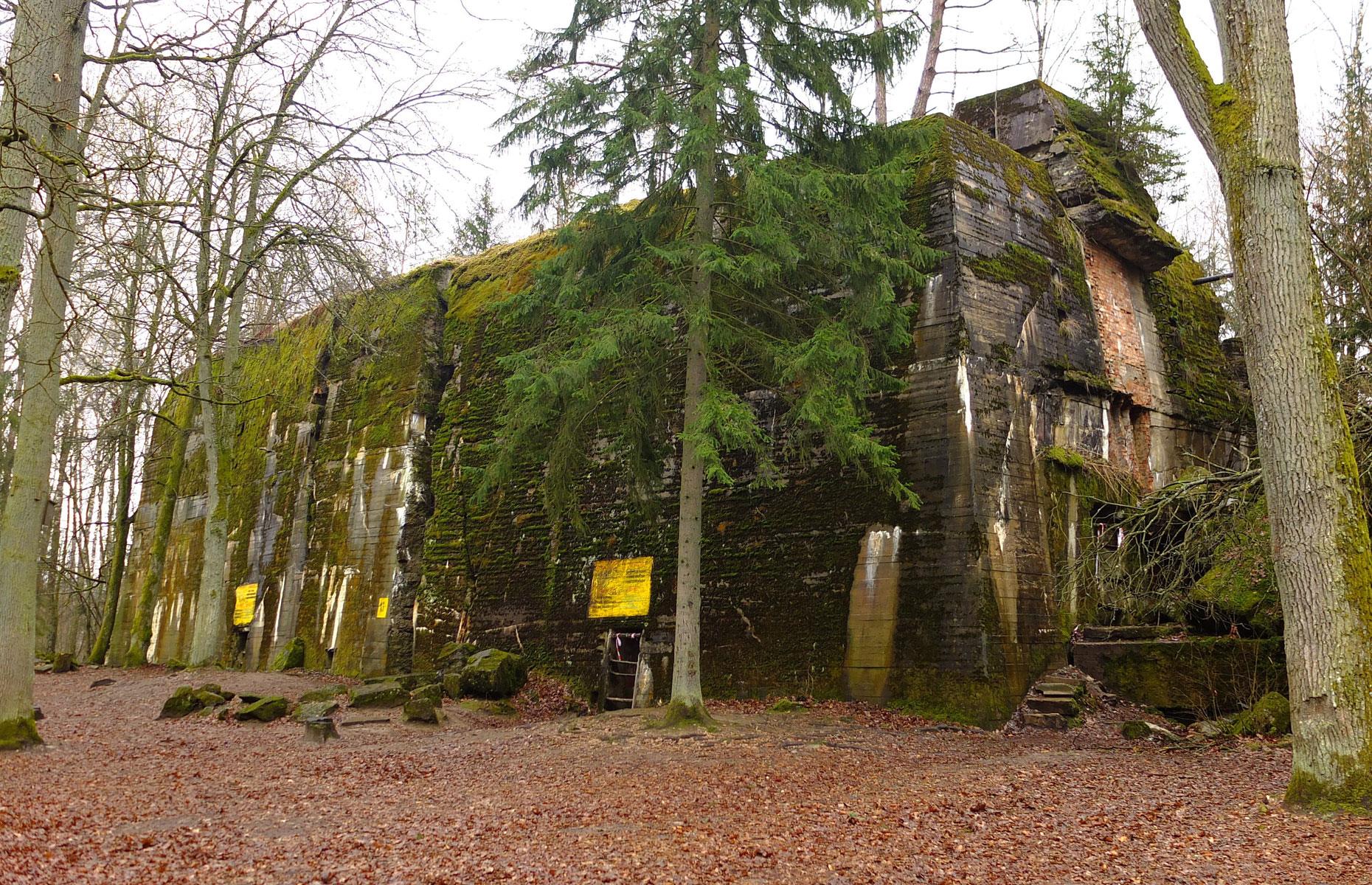 <p>With the Red Army closing in, Hitler bid farewell to the Wolf's Lair in November 1944, and tons of explosives were used to demolish the complex. Yet most of the structures were only partially destroyed, due to their robustness. Now attracting hundreds of thousands of visitors a year, their development as a tourist attraction has been <a href="https://www.bbc.com/news/world-europe-49111787">highly controversial</a>.</p>