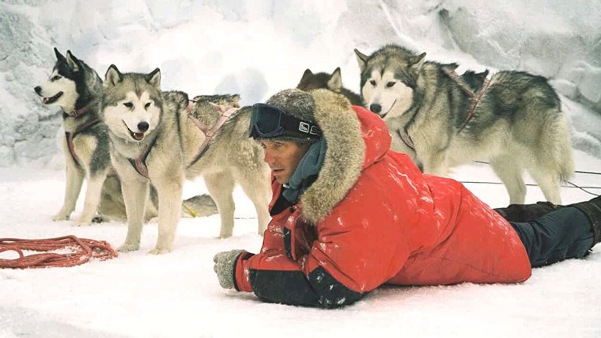 <p>This underrated film is another film snowy set film with a heartwarming story. In Antarctica, a sled dog trainer is forced to leave his pack behind because of an intense incoming snowstorm. He plans to return, but with his expedition canceled, the dogs are left to fend for themselves until he can raise funding to return.</p> <p>This thoroughly engaging film is ideal for those who enjoy compelling family-friendly dramas. Moreover, the Alaskan Huskies are such beautiful animals, and their journey will pull at the heartstrings. <em>Eight Below</em> is an inspirational movie with gorgeous, if frigidly cold scenery, and features some of Paul Walker's finest work.</p> <p>(Available on DVD, to stream on Disney+, and rent VOD)</p>