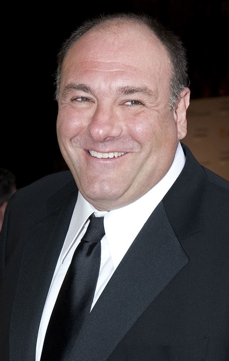 'The Sopranos' Cast: Through The Years