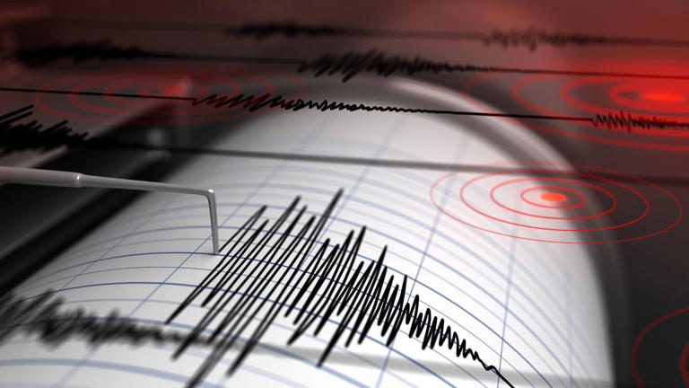 Un sismógrafo capta un terremoto. (Pixabay)