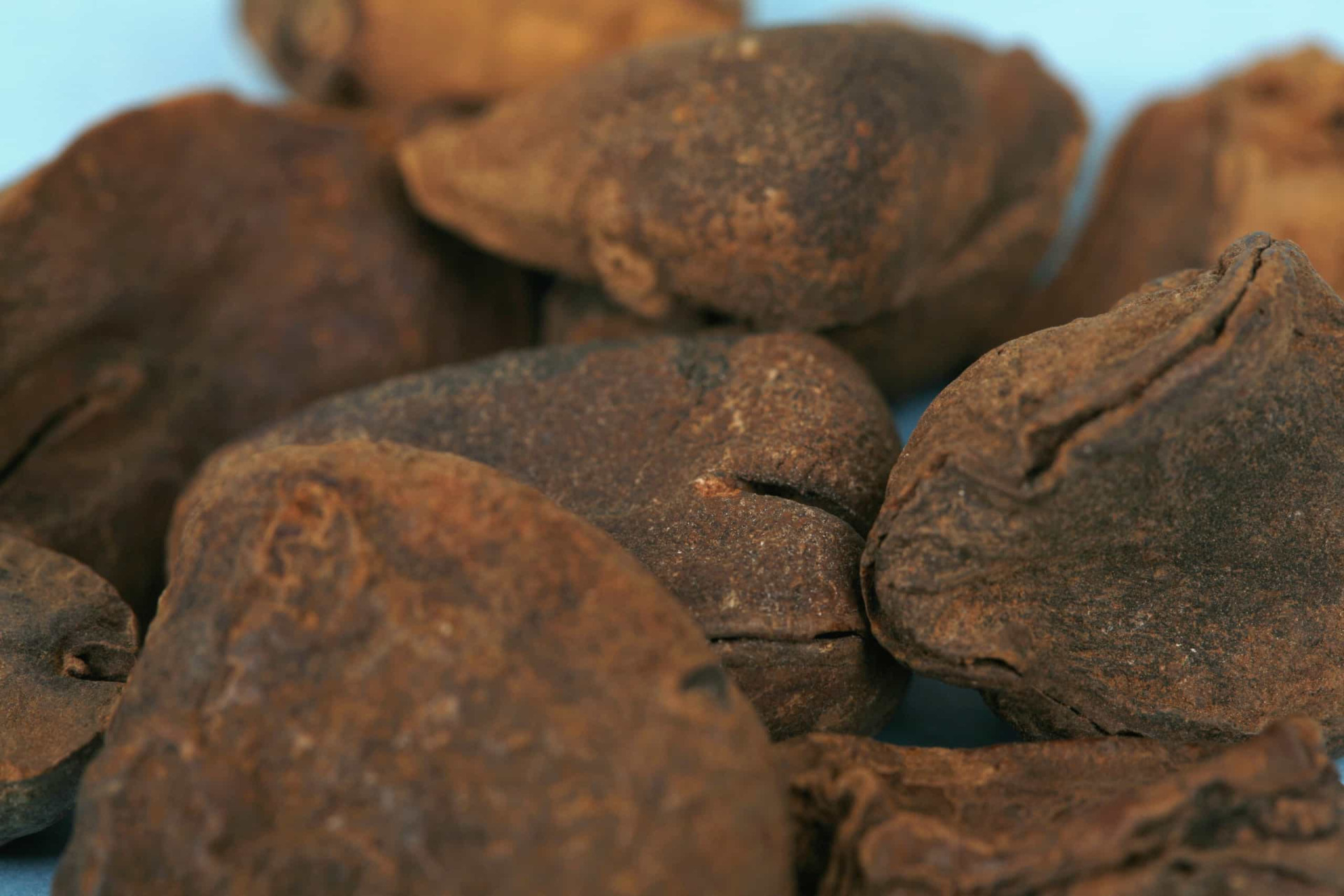 The mystical and powerful plants of ancient medicine