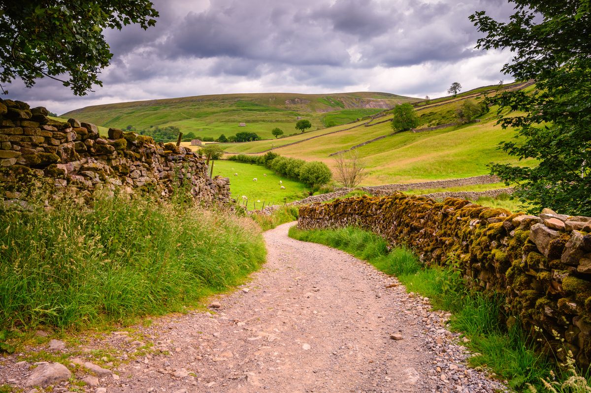 <p>The rolling hills of the Yorkshire Dales have provided much literary inspiration over the centuries. And whether or not you love the novels of the Bronte sisters or <em>The Railway Children</em> by Edith Nesbit or simply enjoy the fresh air and fine views, there's plenty to savour in this scenic pocket of England.</p><p>Explore the Yorkshire Dales on foot and by rail on our walking holiday over five glorious days in April, August, or October 2023. Together with a group of like-minded others, you'll walk for around three or four hours a day to explore the villages, bridleways and homes of the Bronte sisters from a base in Skipton, the gateway to the Yorkshire Dales.</p><p>You'll also board three splendid trains, including a ride on a classic steam train.</p><p><strong>W</strong><strong>hen:</strong> April, August, or October 2023</p><p><a class="body-btn-link" href="https://www.primaholidays.co.uk/tours/yorkshire-dales-walking-rail-tour">FIND OUT MORE </a></p>
