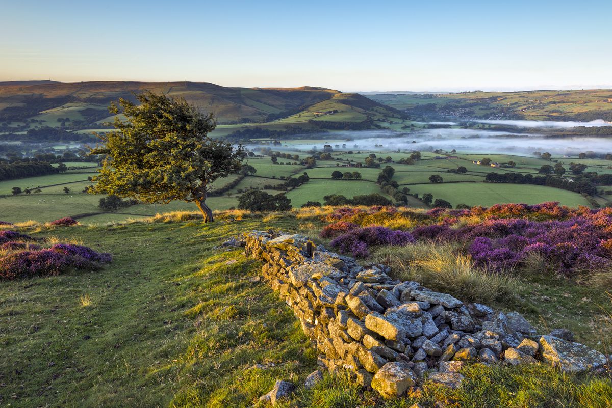 <p>The Peak District is a place famous for its walking trails, but it's also where some of the nation's finest country houses stand, including Chatsworth House and Bolsover Castle.</p><p>Fans of TV's <em>The Great Auction Showdown</em> and <em>Flog it! </em>will love the opportunity to meet Paul Martin, one of the nation's favourite antiques experts, on a special trip to the Peak District in April. He'll treat guests to special treasure-hunting tips before a visit to Bolsover Antique Centre to look for bargains.</p><p>The trip includes three nights at the Old Hall Hotel on a half-board basis, with cream tea on arrival and an evening welcome reception. You'll visit five stately homes across the Peak District, with admissions included in the cost of your trip.</p><p><strong>When:</strong> April 2023</p><p><a class="body-btn-link" href="https://www.primaholidays.co.uk/tours/peak-district-chatsworth-stately-homes-paul-martin-tour">FIND OUT MORE </a></p>