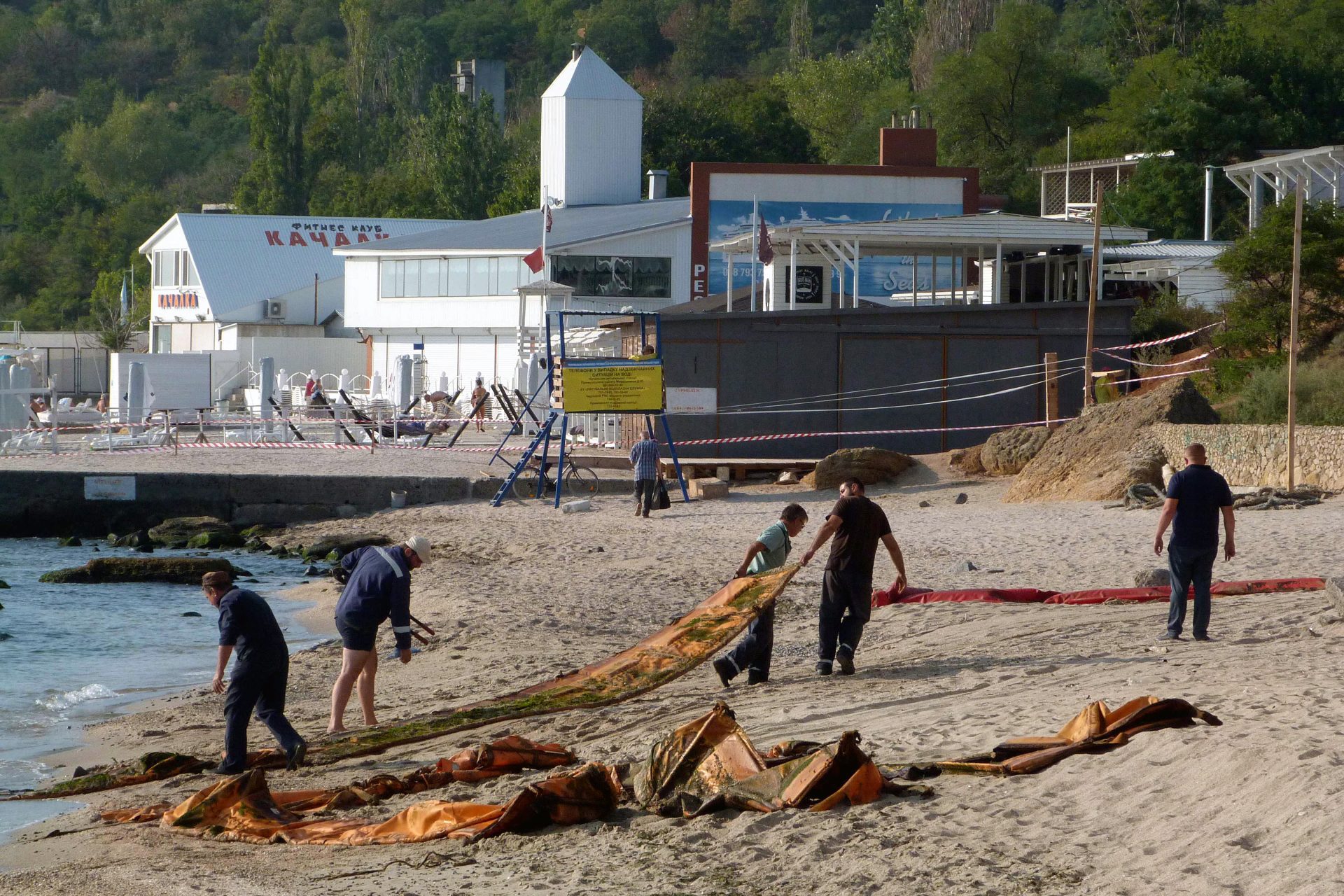 Thousands of Black Sea dolphins have died as a result of the war in Ukraine