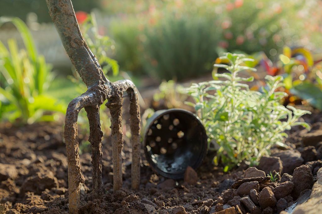 Garden water saving tips: 11 easy ways to reduce your water usage
