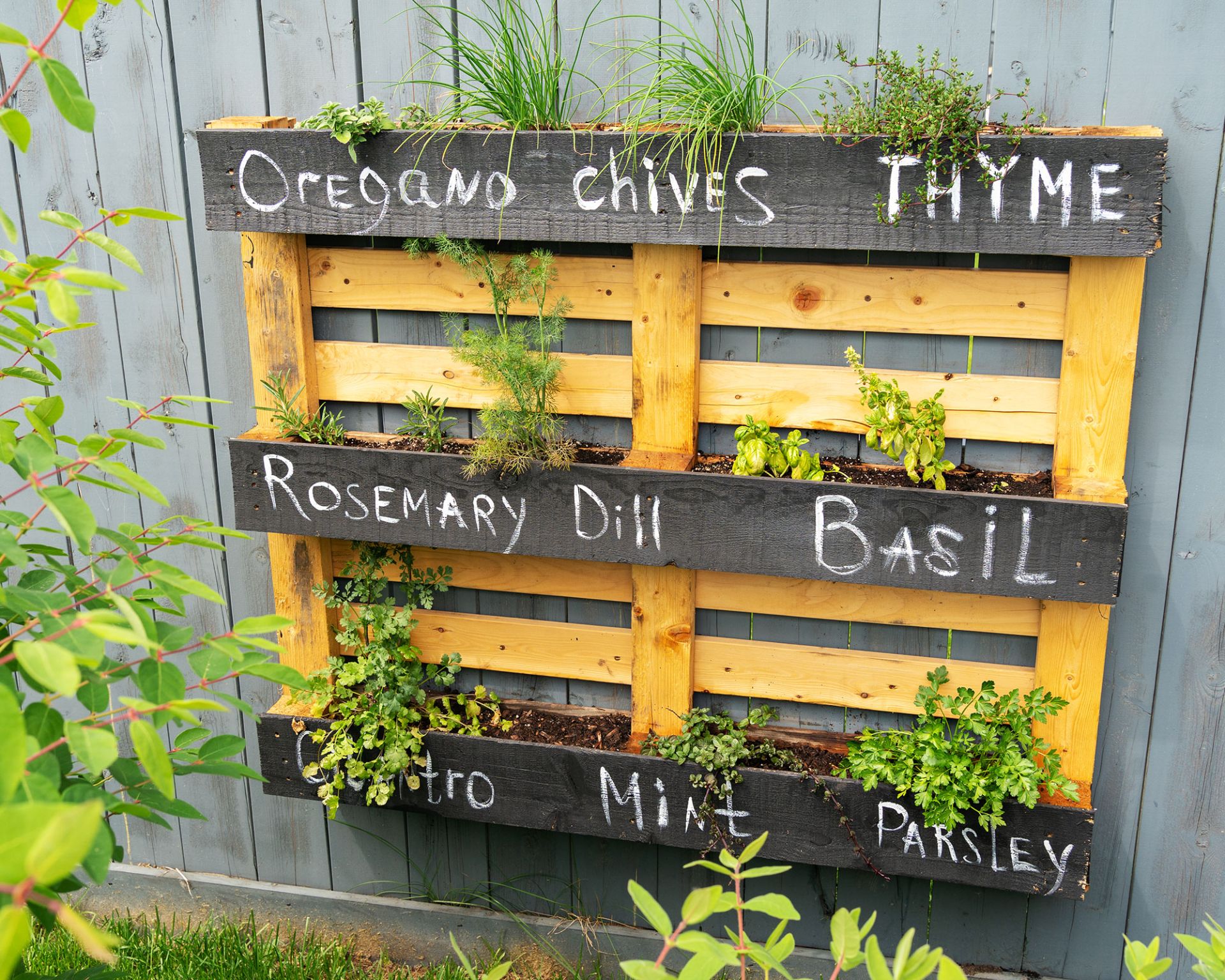 Pallet garden wall ideas: 15 quick and cheap DIY projects that are easy ...