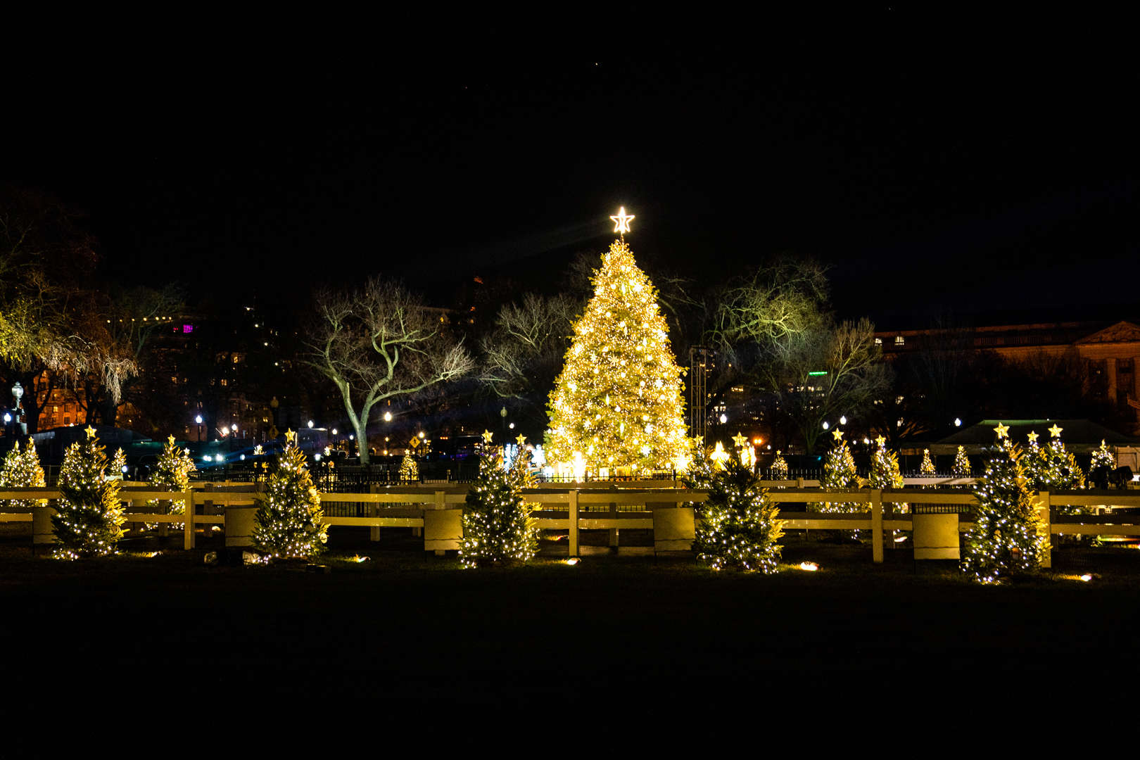 The 100th National Christmas Tree Lighting Ceremony at the Ellipse in November.