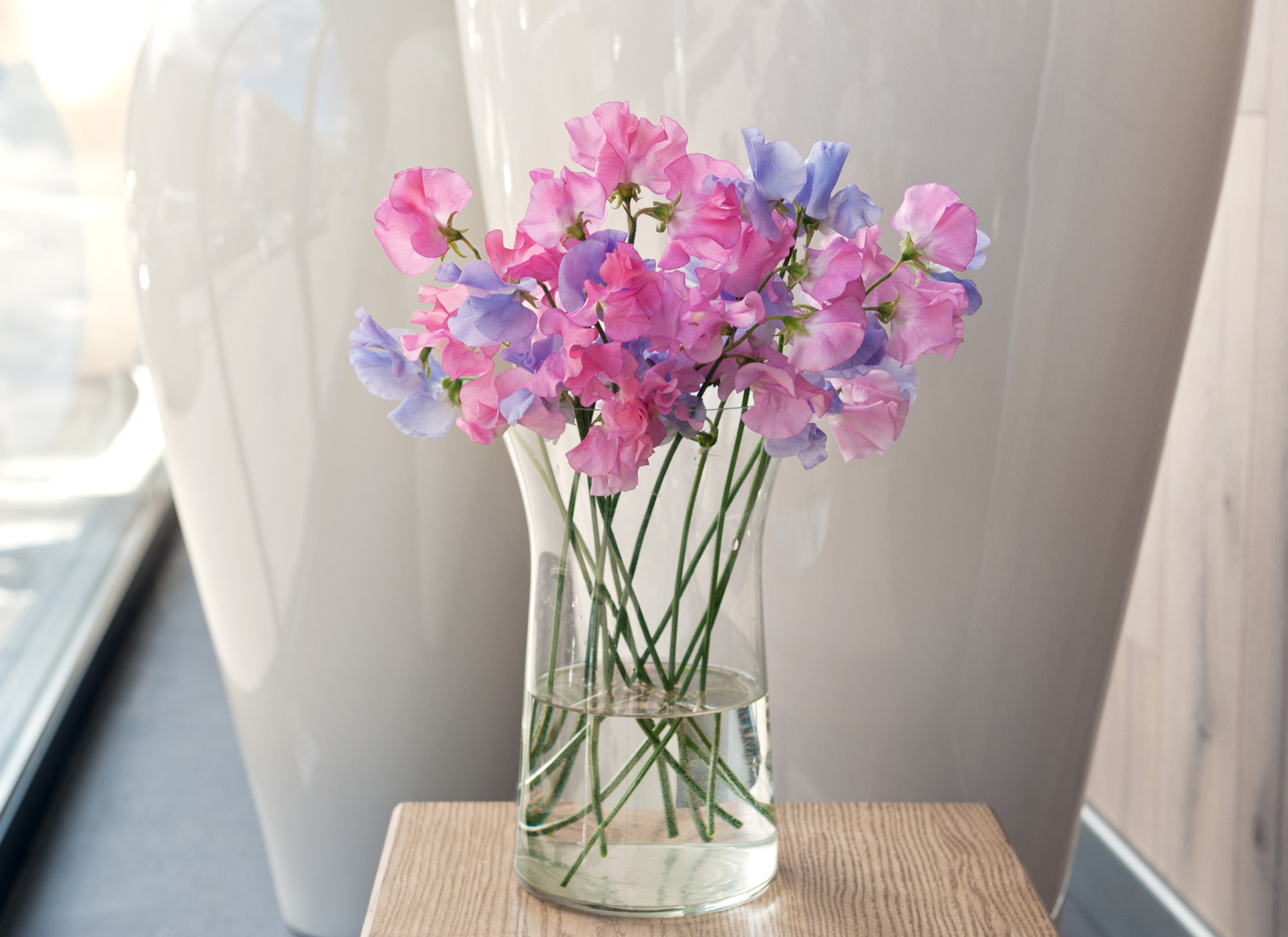 Every months' birth flower. Do you know yours?