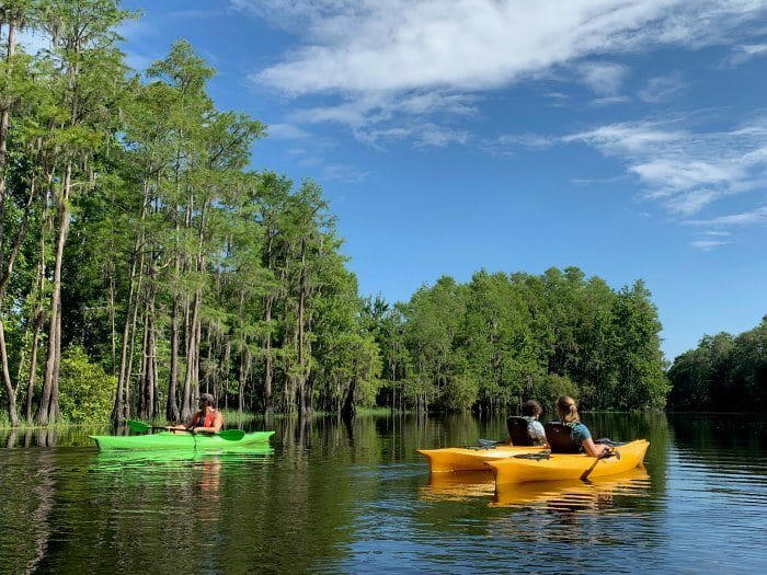 15 Off-the-Beaten Path Orlando Activities (Beyond the Theme Parks)