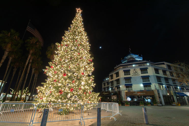 This week in Oakland Jack London tree lighting, and the Cantare