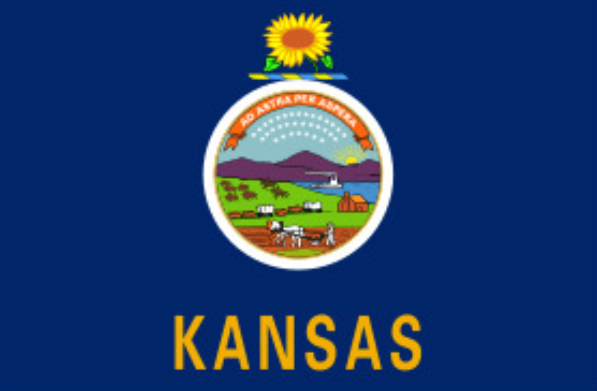 What do the 50 state flags of the US represent?