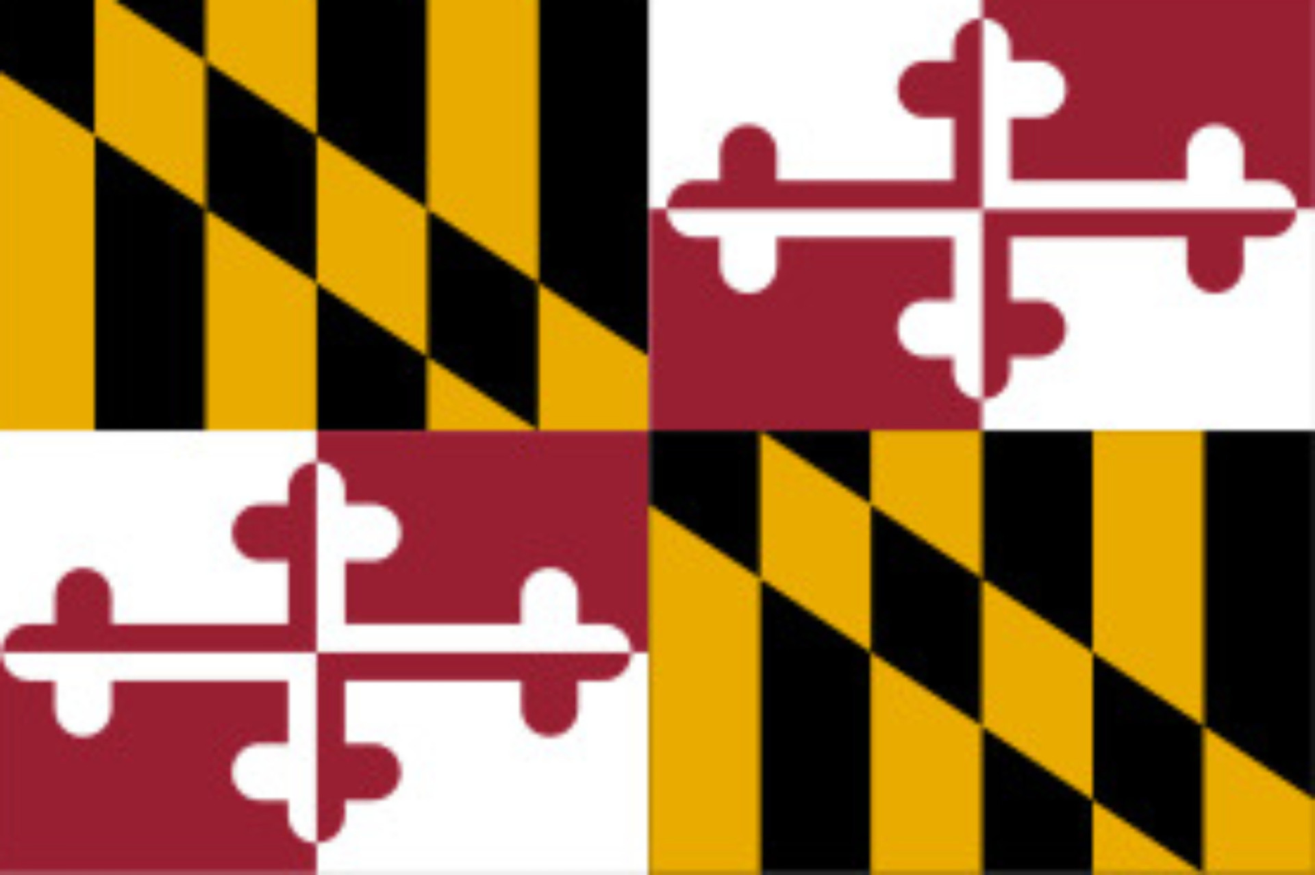 What do the 50 state flags of the US represent?