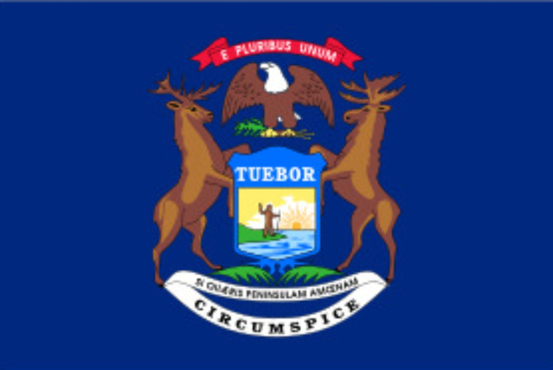 What do the 50 state flags of the US represent?