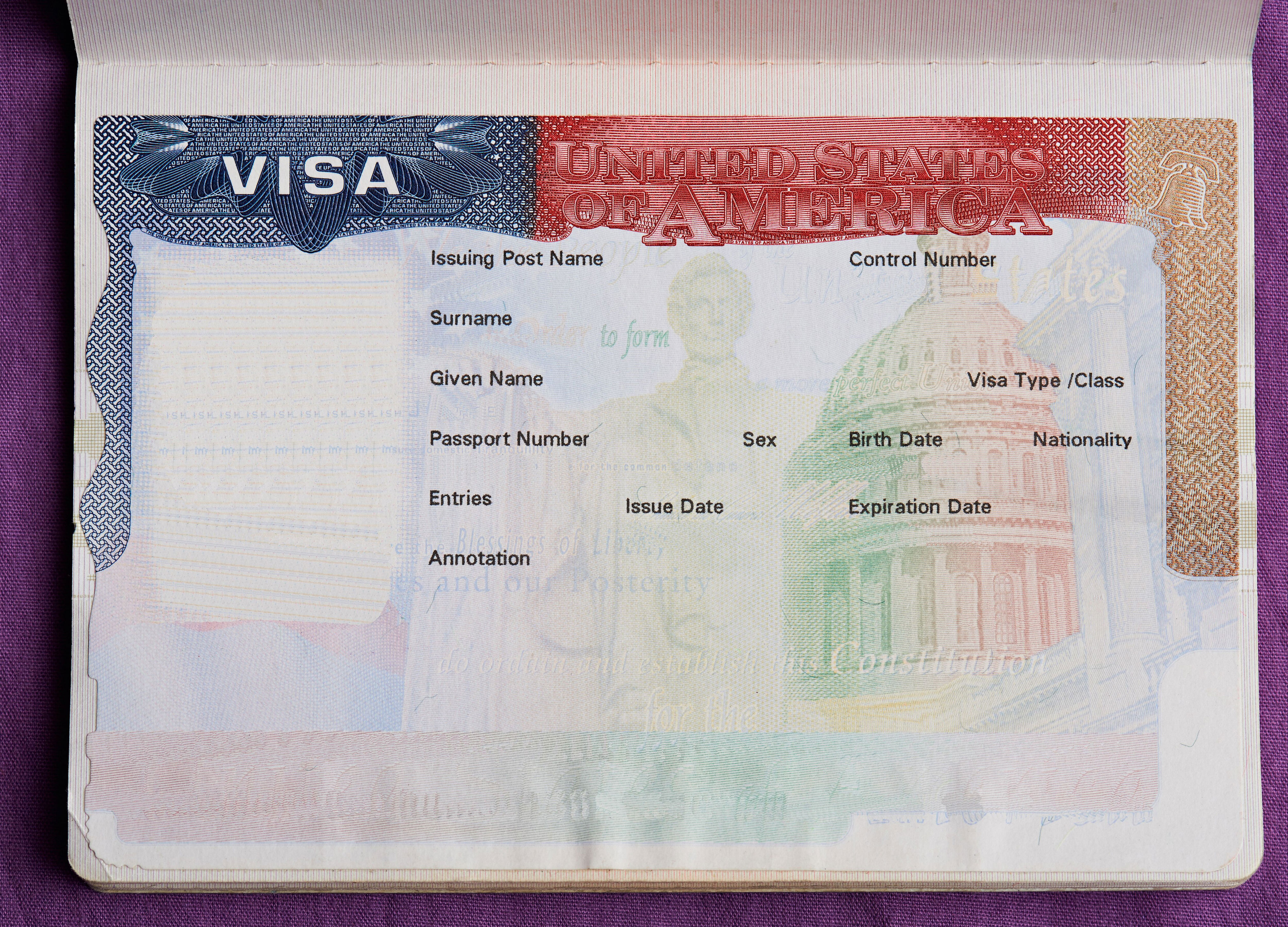 Виза в сша. Виза в США пустая. Виза шаблон. Виза США В паспорте. Виза США шаблон.