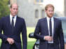 Prince Harry and Prince William held secret meeting with Princess Diana's butler