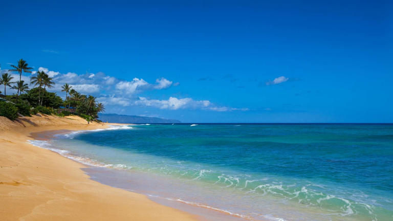 14 Fabulous Beaches in Oahu for Families