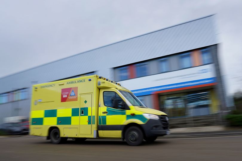 Pensioner Died 'alone And Confused' After 14-hour Ambulance Wait ...