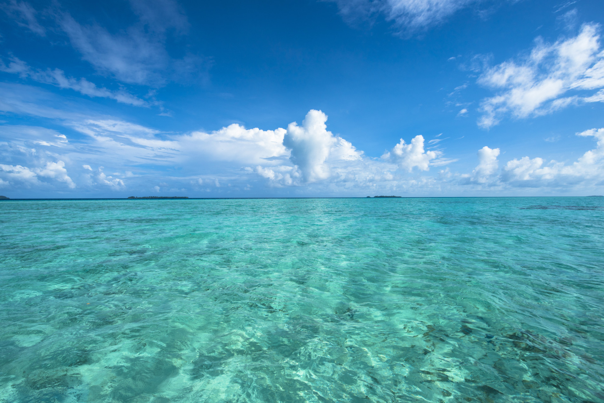 The pacific ocean. Тихий океан.