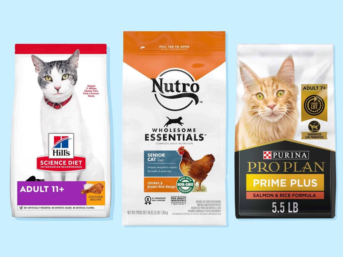 The best cat food of 2023, with advice from veterinarians