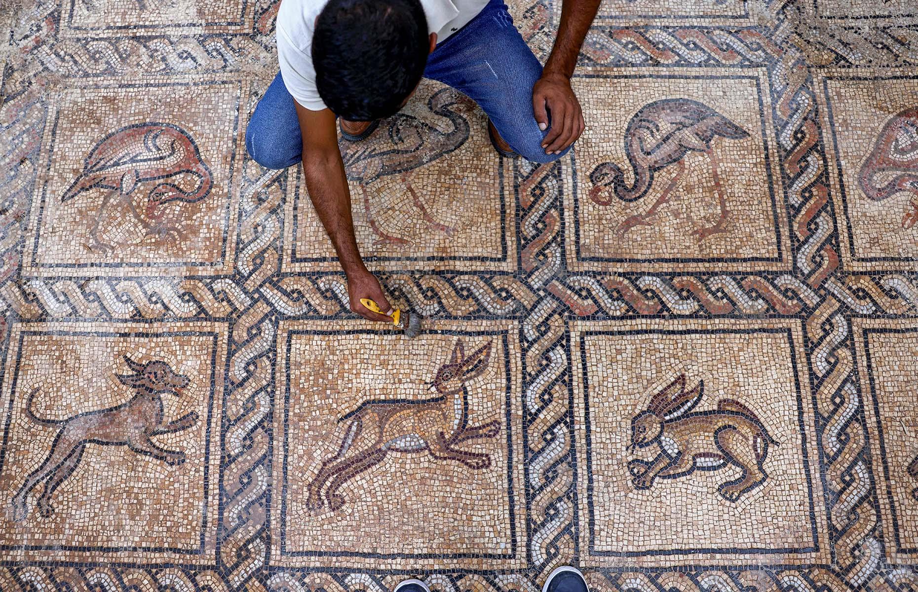 <p>A farmer accidentally uncovered an intact Byzantine floor mosaic after trying to plant new trees in his Gaza orchard. The discovery happened six months ago when Salman al-Nabahin and his son Ahmad tried to figure out why the olive trees weren't taking root. While digging, Ahmad's axe hit something hard, and the pair realised it was an ornate mosaic, said to date from the fifth to the seventh century AD, depicting birds and other animals. The Palestinian Ministry of Tourism and Antiquities said: "The archaeological discovery is still in its early stages and we await to know more of the secrets and civilisation values."</p>