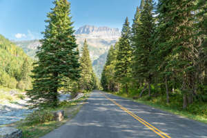 Road in Glacier National Park