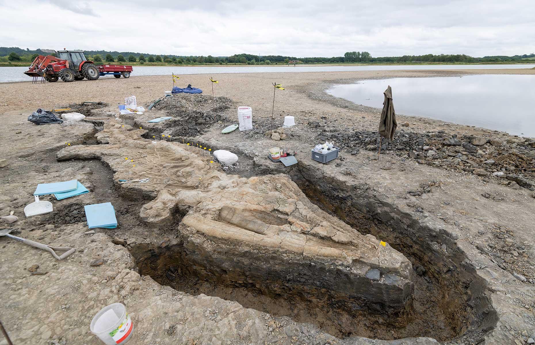 <p>The sea dragon has been hailed as one of the UK's greatest fossil finds. After excavations in August and September 2021, the skeleton was revealed to measure around 33 feet (10m) in length and is thought to date back 180 million years. It's not the first ichthyosaur to be found here. In the 1970s, two much smaller and incomplete skeletons were uncovered, but the well-preserved nature of the most recent discovery makes it much more important.</p>