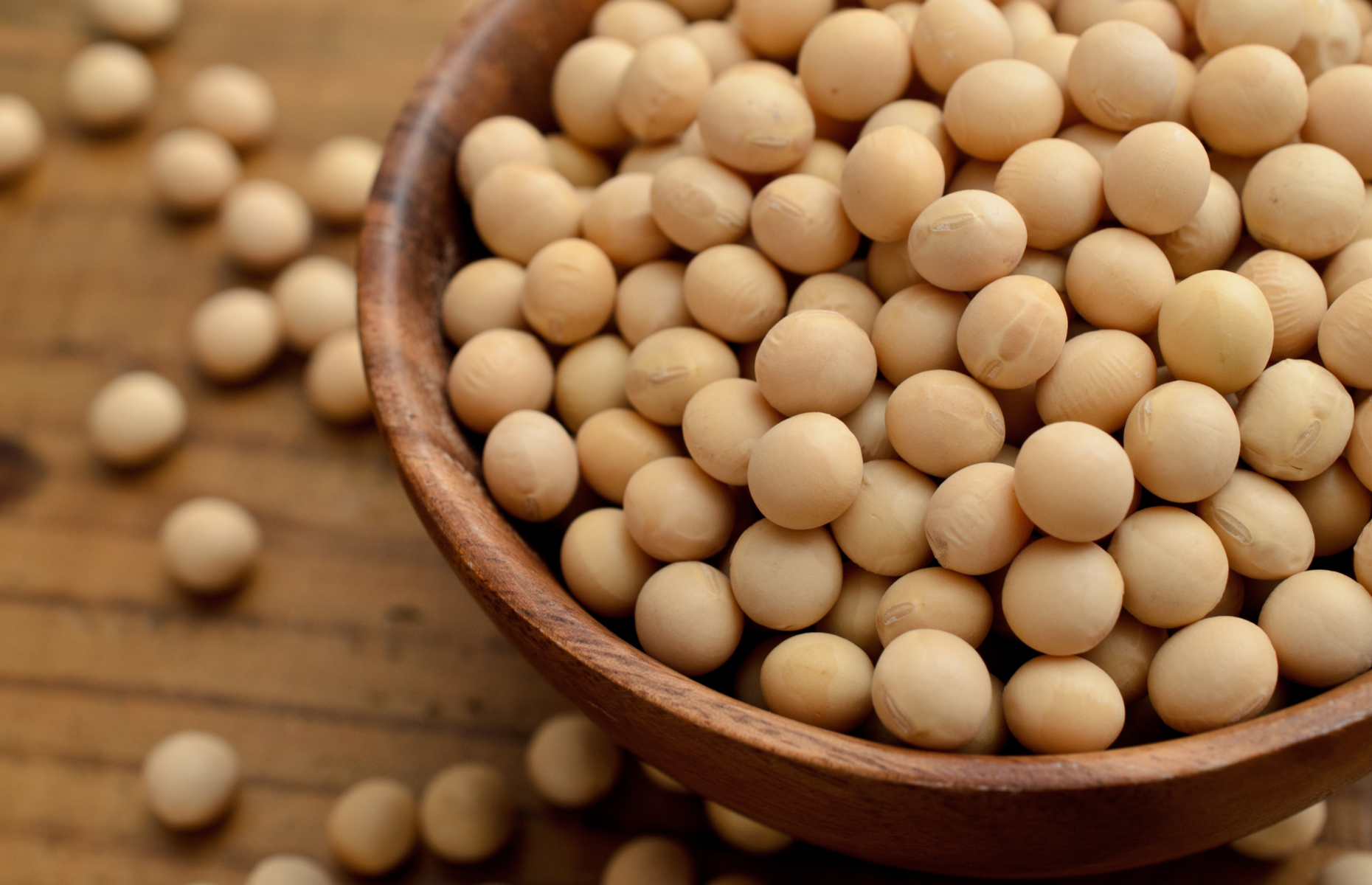 The best foods against hair loss