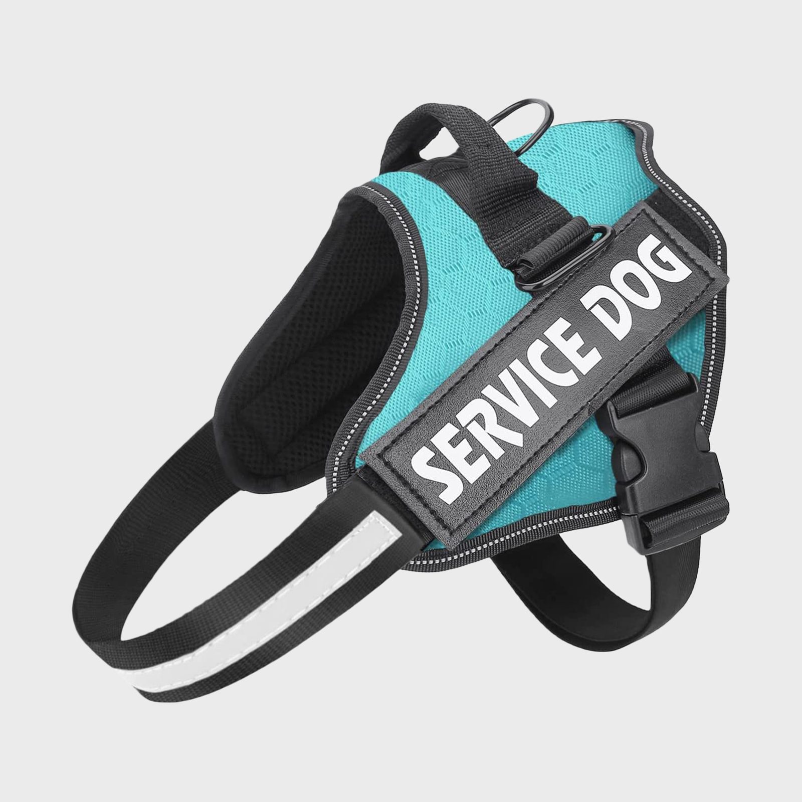The 8 Best NoPull Dog Harnesses, According to Pet Experts