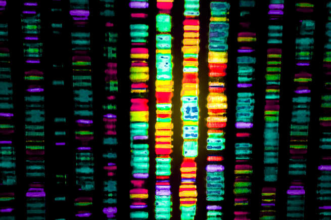 O papel do DNA