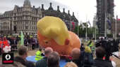 Trump visit: Baby blimp inflated in Parliament Square