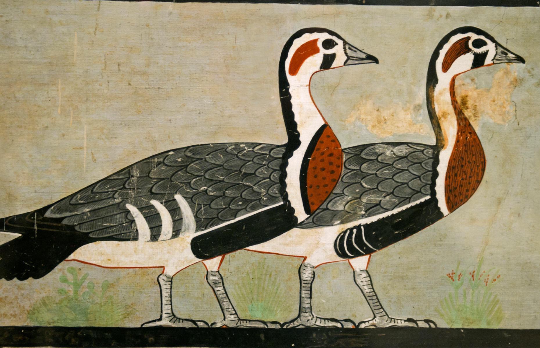 <p>The Meidum Geese painting was discovered in a tomb beside the Meidum Pyramid, and is now on display at the Egyptian Museum of Cairo (also known as the Egyptian Museum of Antiquities). The wall painting features six geese: two pairs facing away from each other at the centre, and one goose at each end picking at the grass. Natural pigments included white from limestone, red from hematite and green from malachite, and would have been mixed with egg white emulsifier.</p>