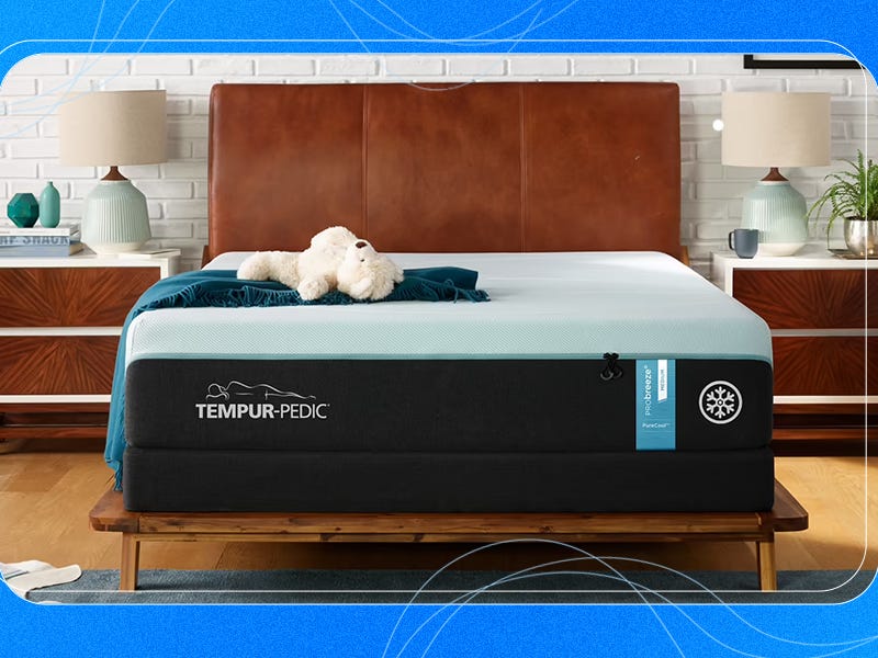 The Best Mattress For Back Pain, Based On Our Testing Of 25 Mattresses