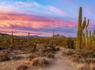Over 25 of the Best Things to do in Scottsdale with Kids<br><br>