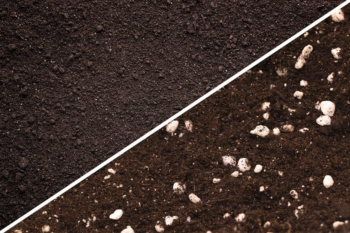 Garden Soil vs. Potting Soil What’s the Difference?