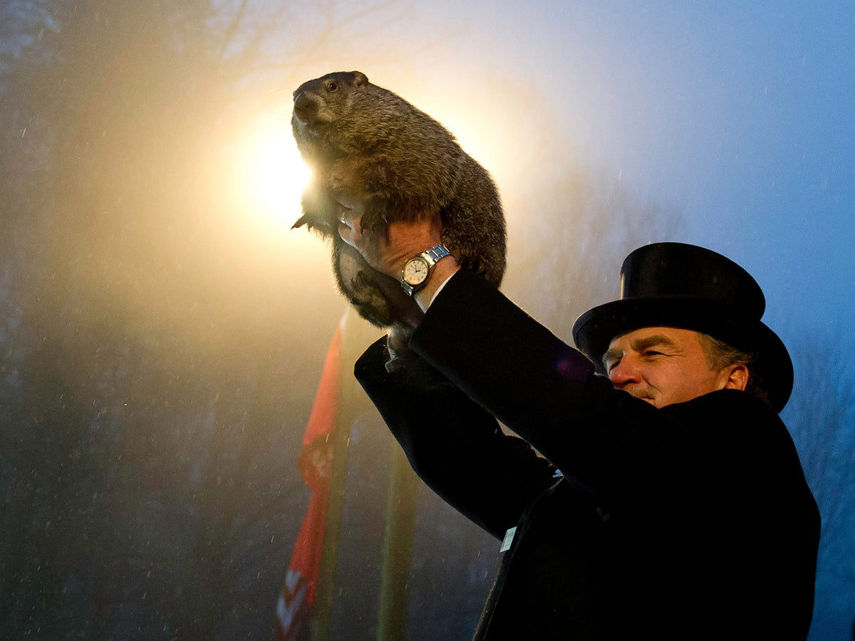 Groundhog Day 2024 Five things you didn’t know about the February