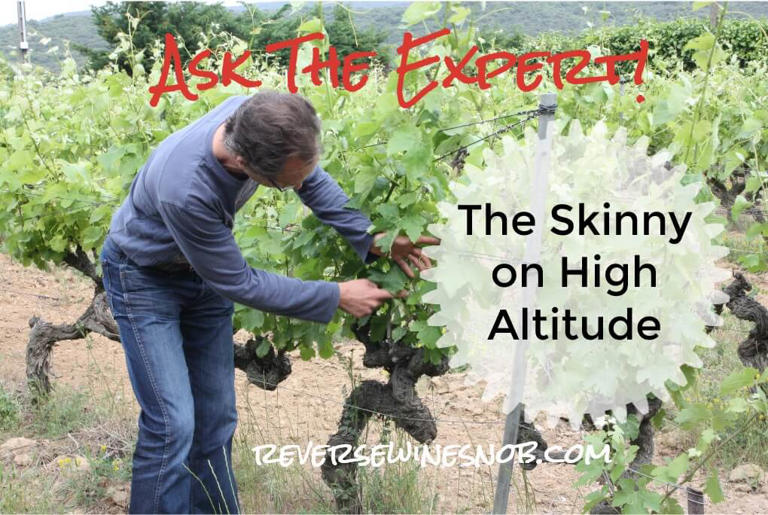 How Does Altitude Affect Wine?