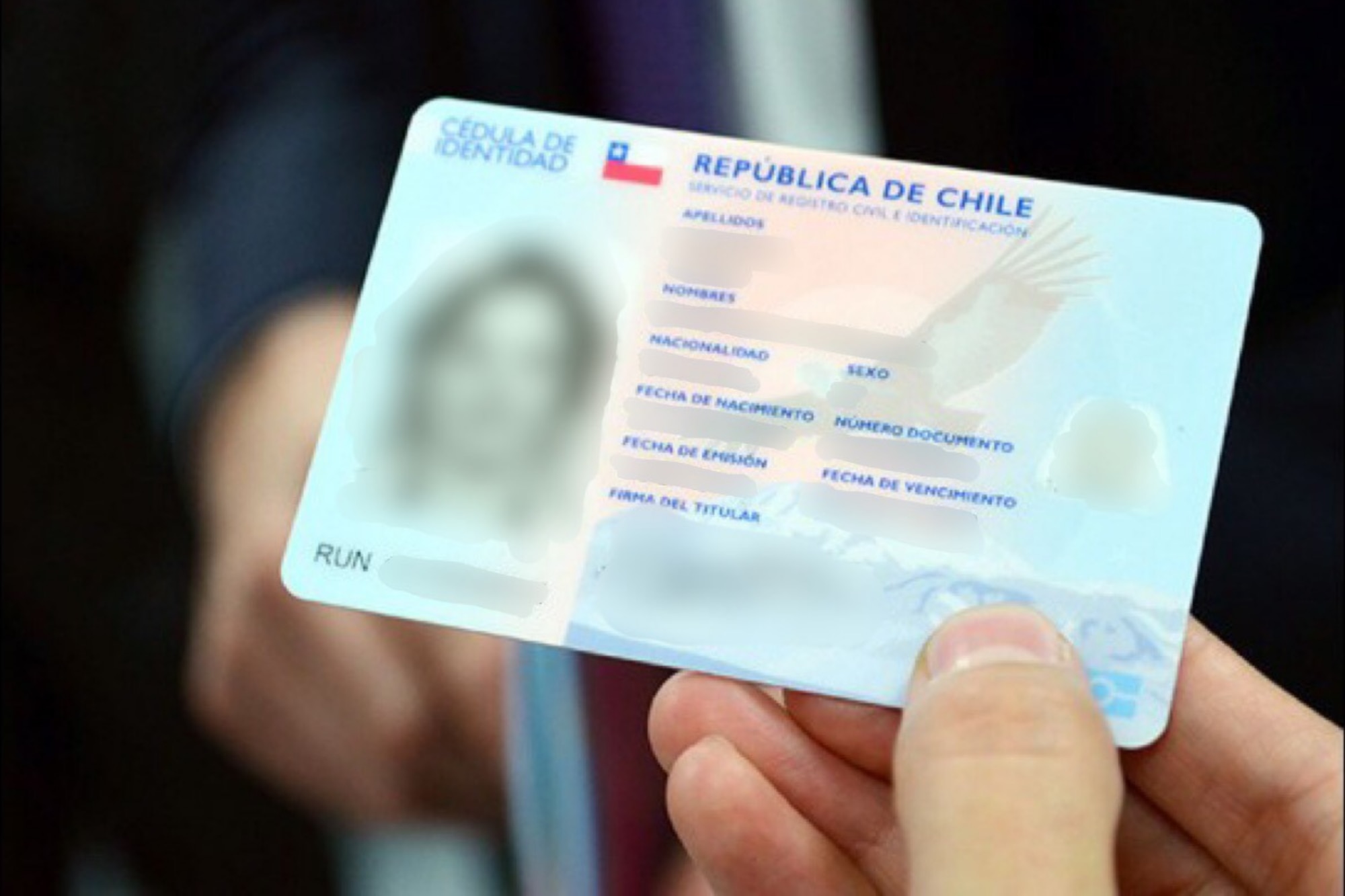plebiscito 2023: ¿qué puedo hacer si perdí mi carnet de identidad?