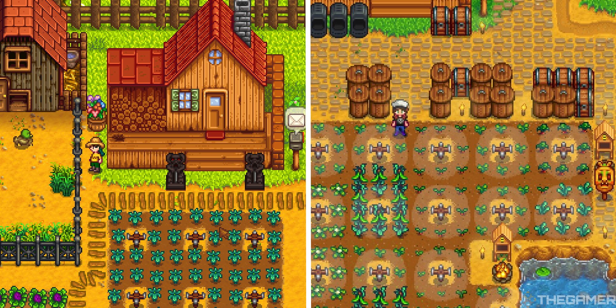 How To Use Sprinklers In Stardew Valley   AA16hxLV.img