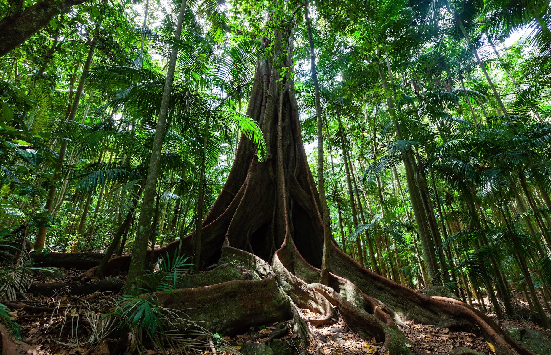 Australia's Awesome World Heritage Sites – And The Secrets Behind Them