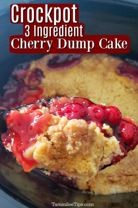 Easy Dump Cake Recipes (Oven and Crockpot)