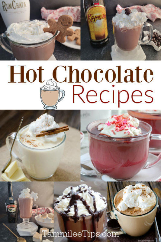 Hot Chocolate Recipes (Easy and Delicious)