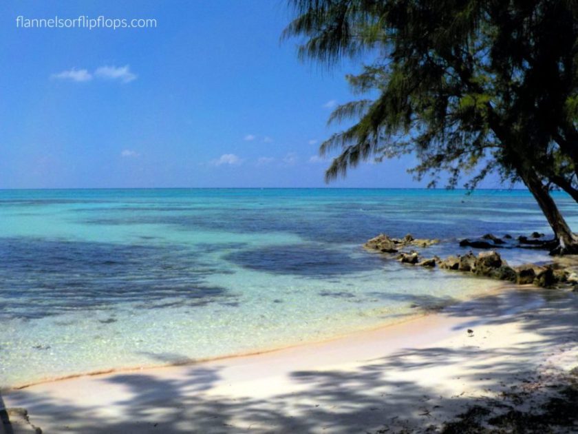 Grand Cayman Beaches for Cruise Passengers- Rum Point
