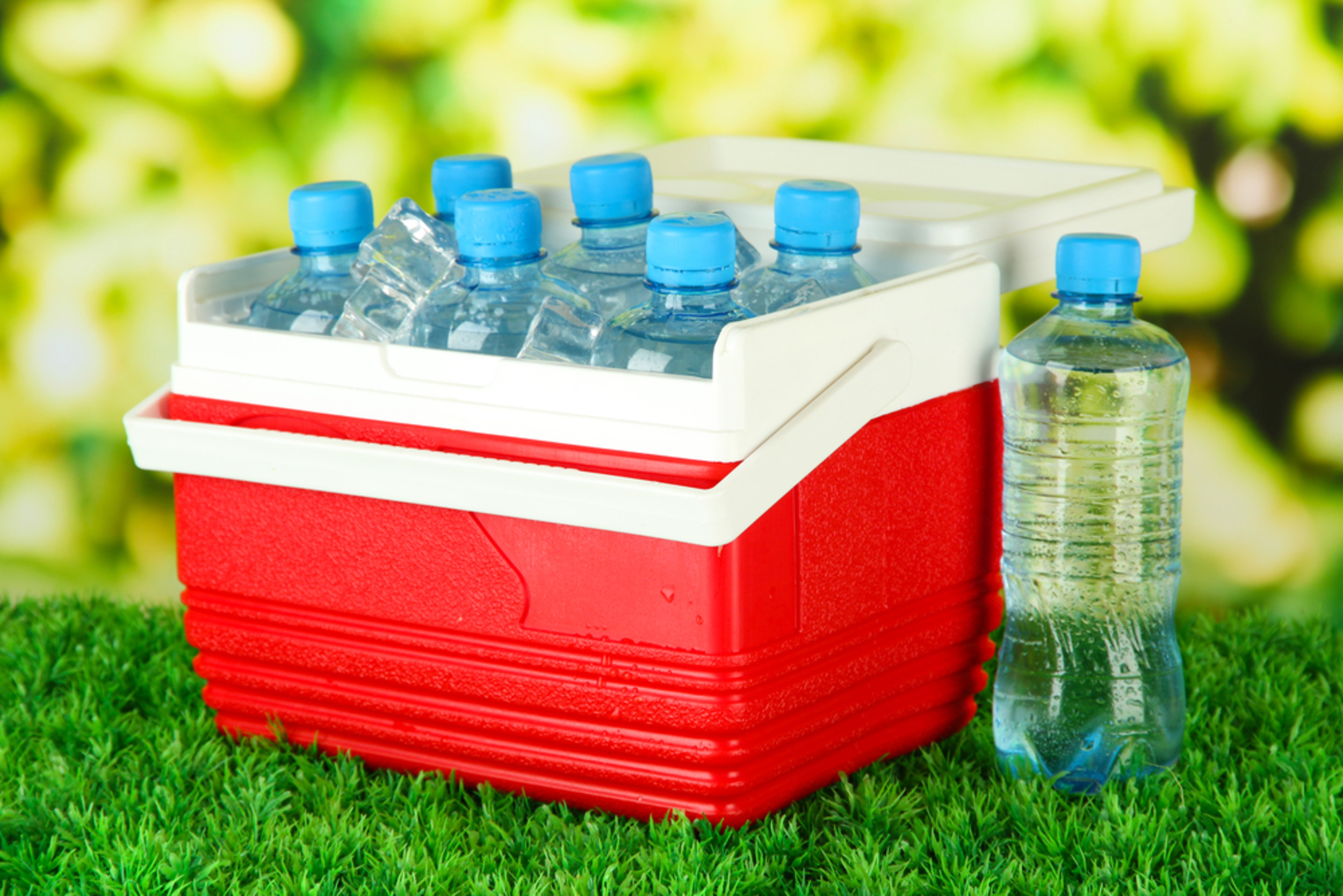 <p>Even if it's just a tiny cooler, having chilled drinks and a space to store snacks that aren't shelf-stable can be invaluable on a road trip. Tuck it behind the front seat, or store it in the trunk to encourage the occasional pit stop. </p><p>You may also like: <a href='https://www.yardbarker.com/lifestyle/articles/25_game_day_snacks_you_can_make_in_a_slow_cooker/s1__22916233'>25 game day snacks you can make in a slow cooker</a></p>