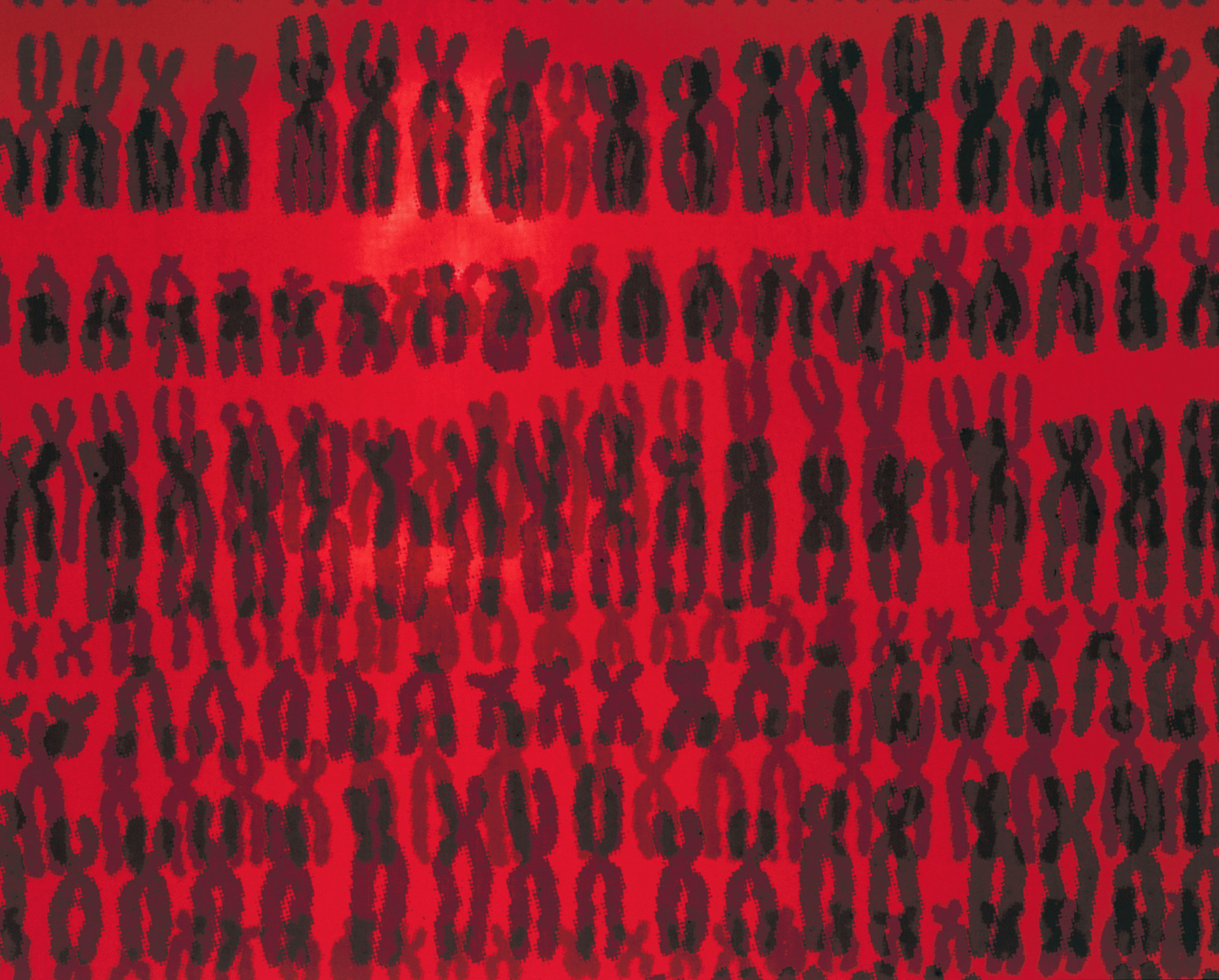 6'3" And 5'0": What Genes Determine Height? - 6dy460i
