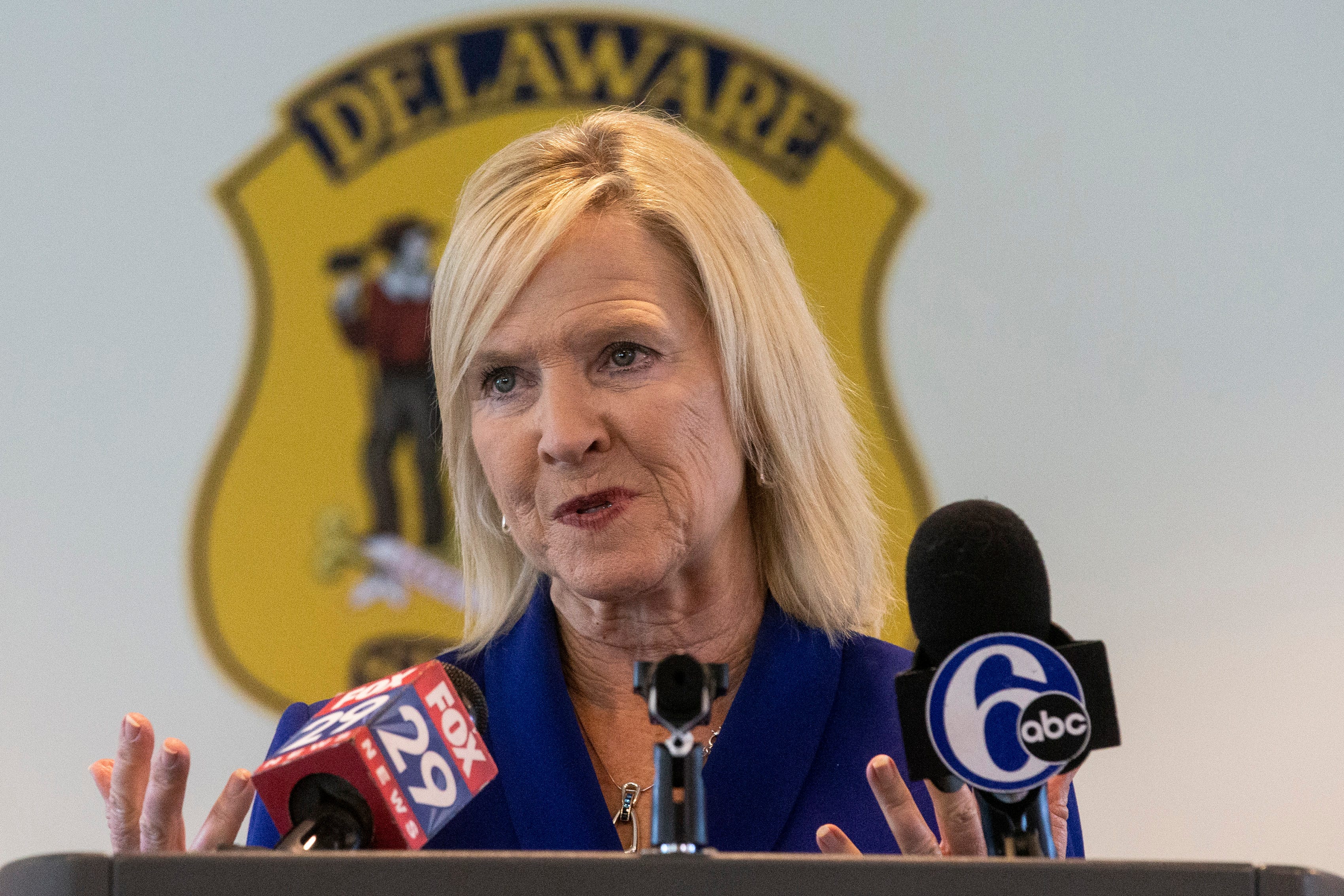 Lt. Gov. Bethany HallLong to resume fundraising after audit of