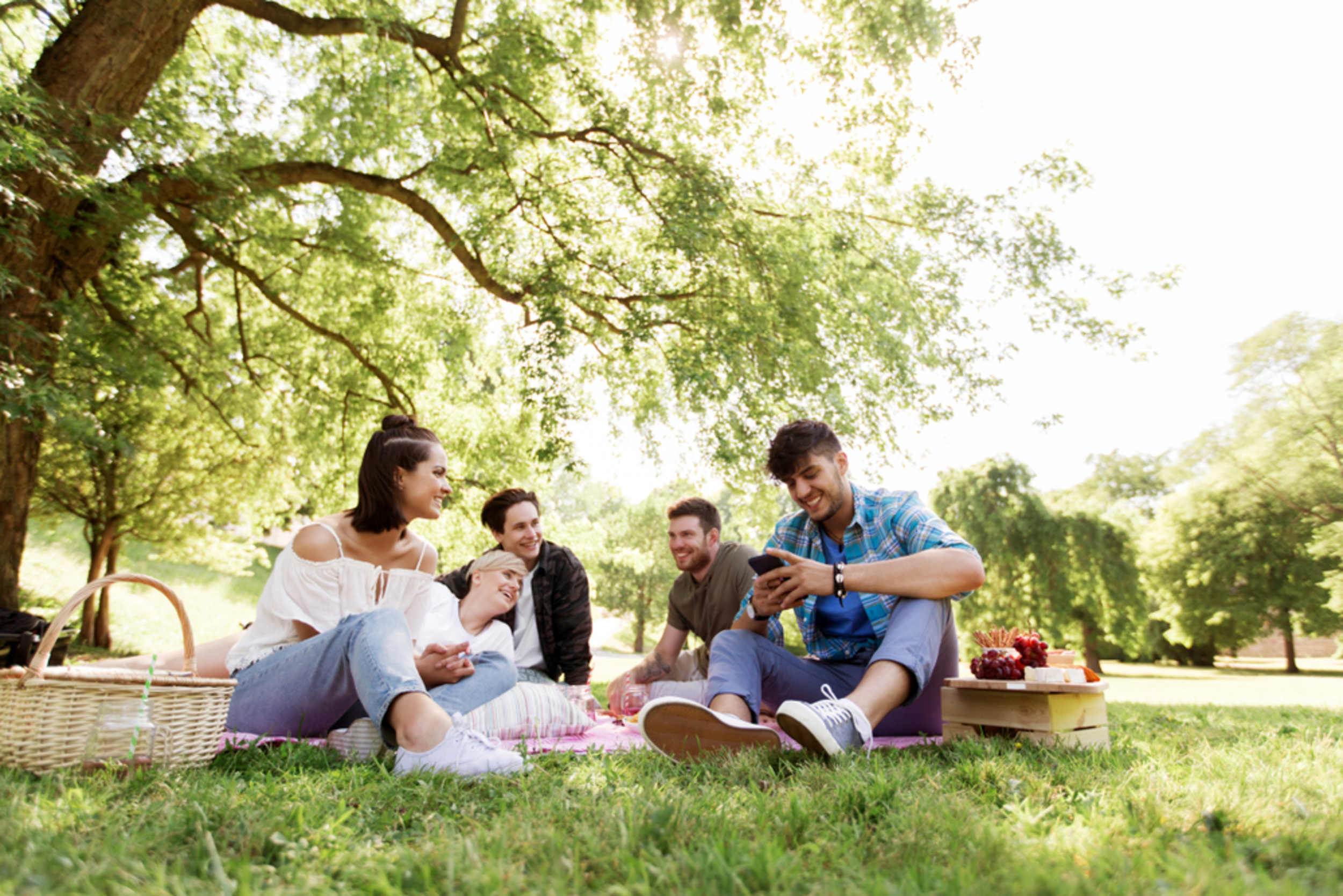 Пикник одноклассники. Пикник с друзьями. Люди на пикнике в парке. Дружеский пикник на природе. Молодые люди в парке на пикнике.