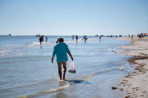 Visitors to Lighthouse Beach on Sanibel look for shells on Thursday, Dec. 24, 2021.
