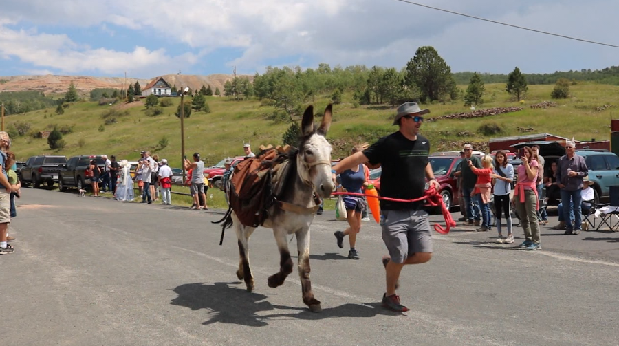 Events announced for Donkey Derby Days