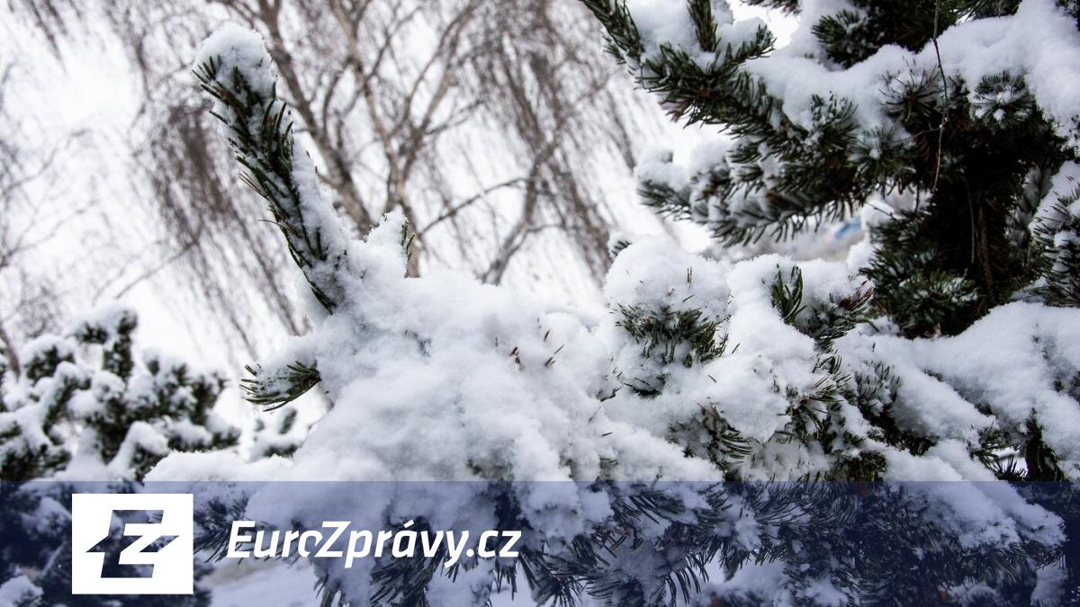 sníh z českých hor nadále mizí. tání bude pokračovat, uvedli meteorologové